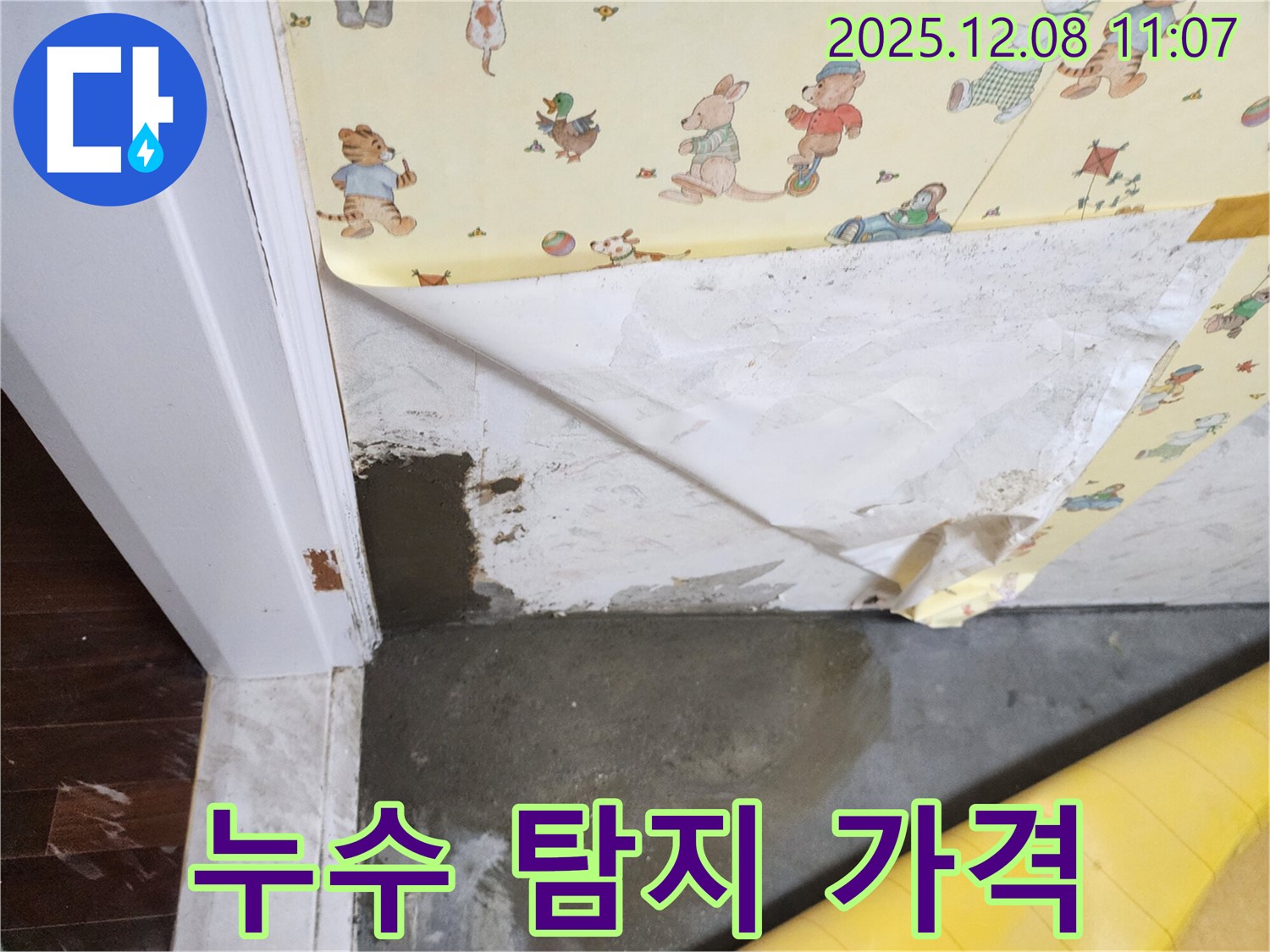 누수 탐지 가격 - 투명한 견적 - 합리적인 비용