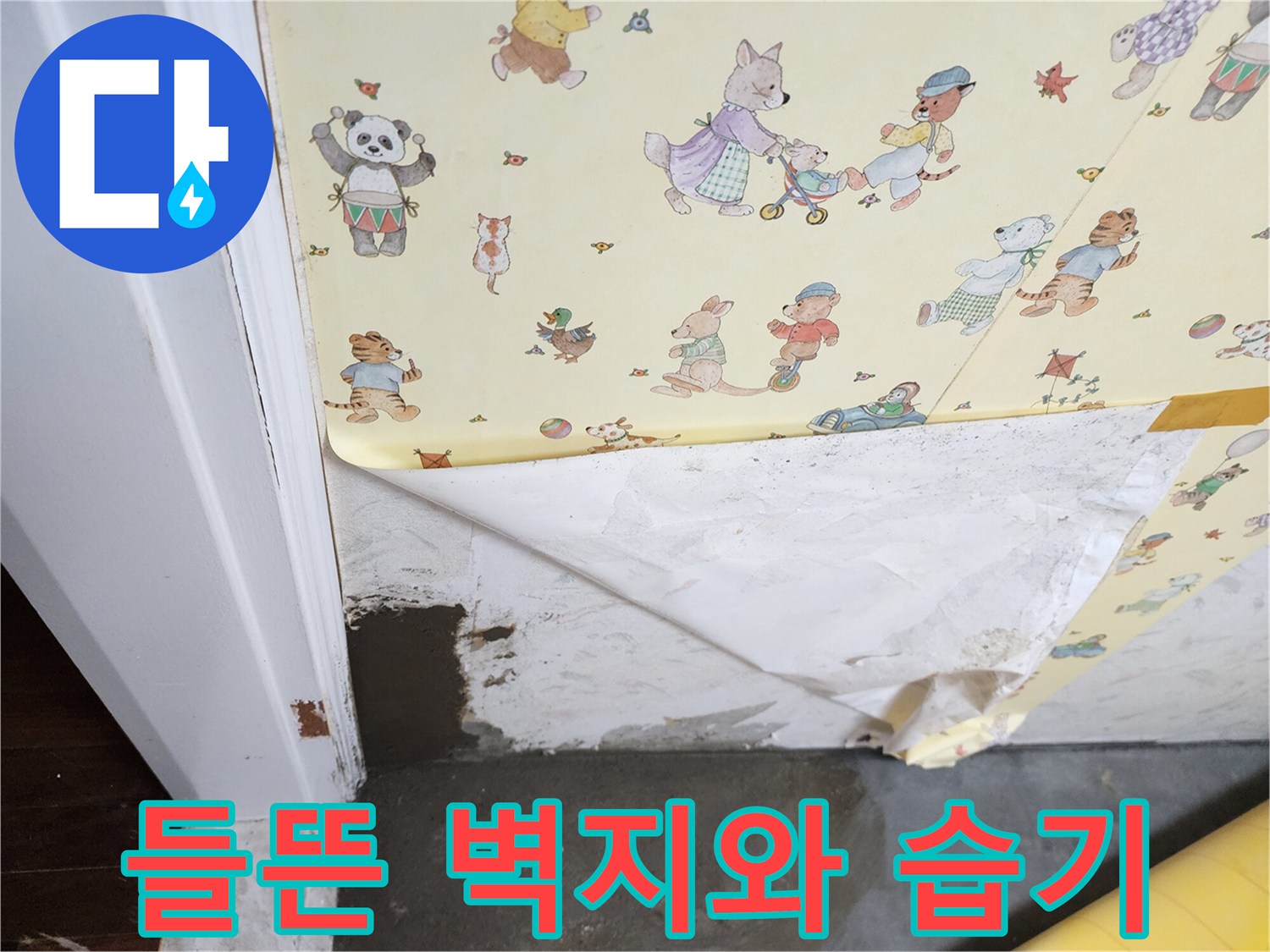 습기로-인해-분리된-벽지-마감재