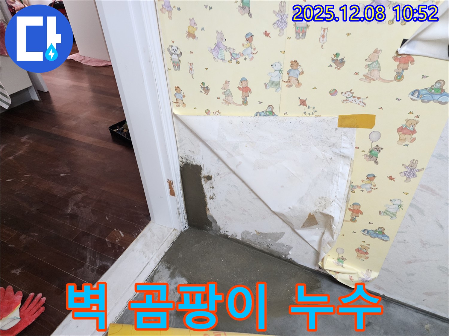 영중면 거사리 벽 곰팡이 누수 현장 - 꼼꼼한 시공으로 누수 해결
