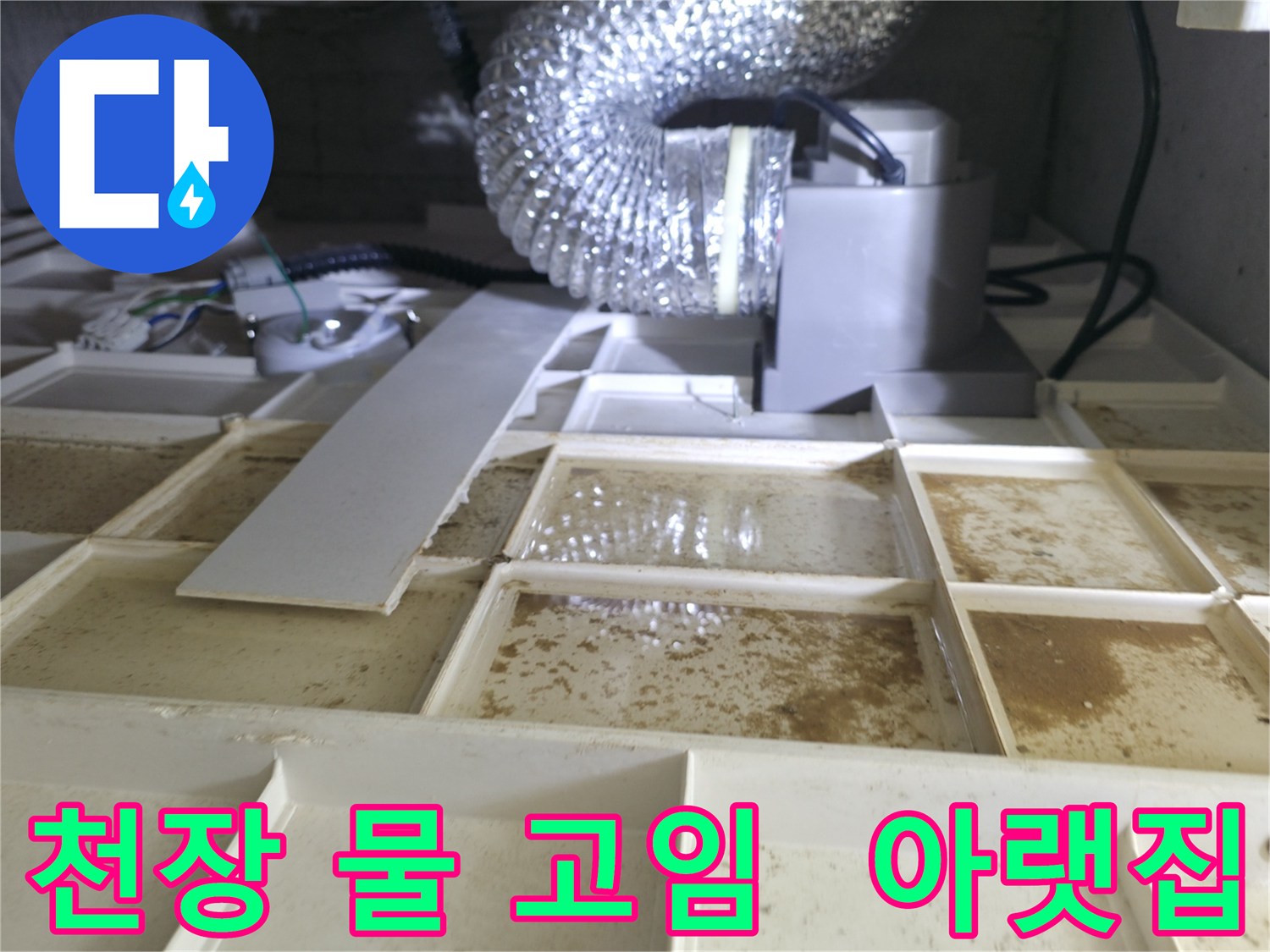 천장 속 물 고임 - 아랫집 누수 피해 우려