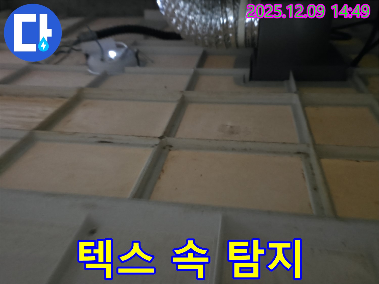 향남 - 첨단 장비로 텍스 속 누수 완벽 탐지