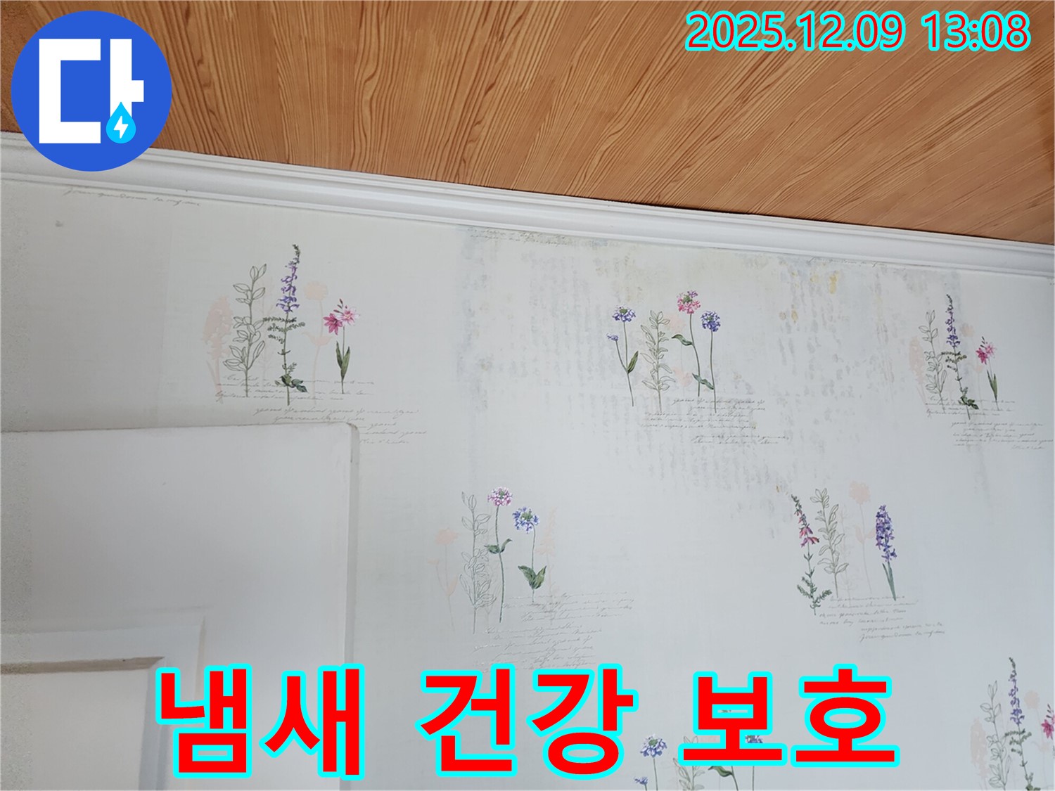 곰팡이 냄새 - 건강 위협 - 보호