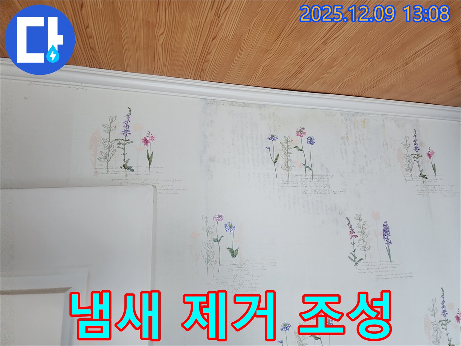 곰팡이 냄새 - 원인 제거 - 쾌적한 환경 조성