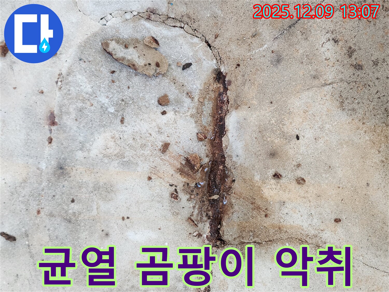 균열, 누수, 곰팡이, 악취 - 최악