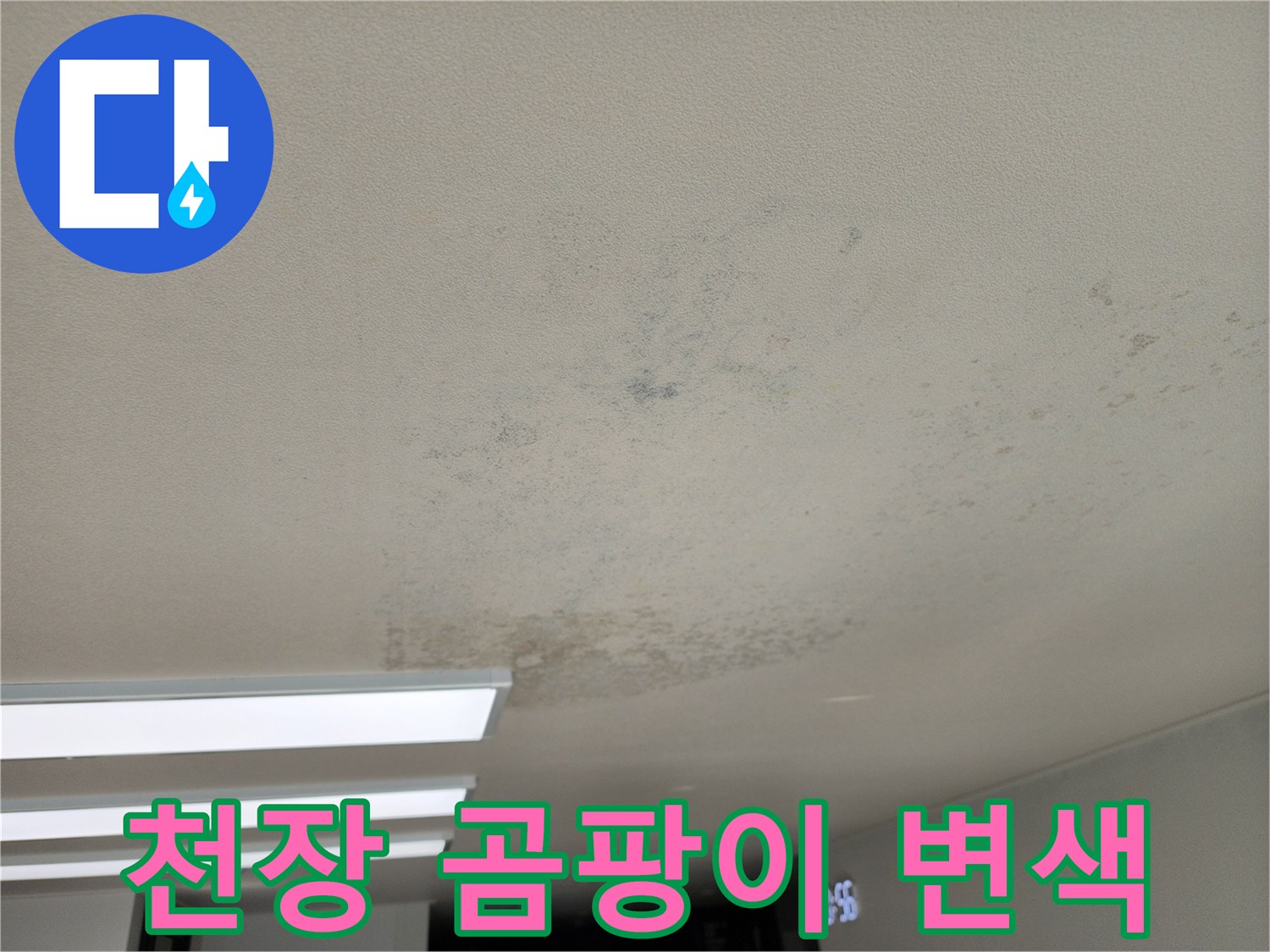 넓게 퍼진 천장 누수 얼룩과 곰팡이 흔적