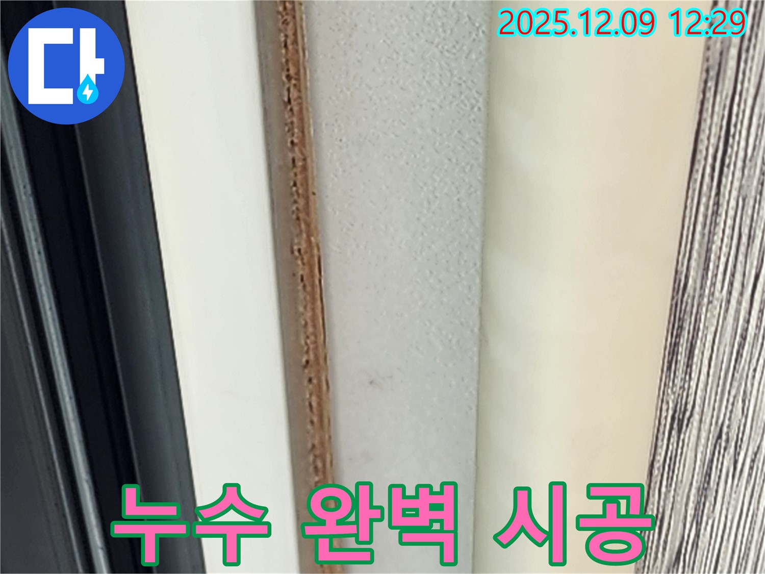 누수 탐지부터 완벽 시공까지 - 곰팡이 문제, 확실하게 해결!