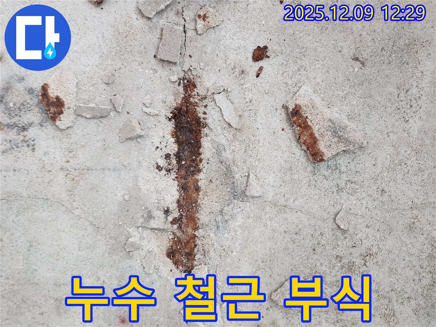 누수로 인한 콘크리트 속 철근 부식 - 꼼꼼한 점검과 보수가 중요