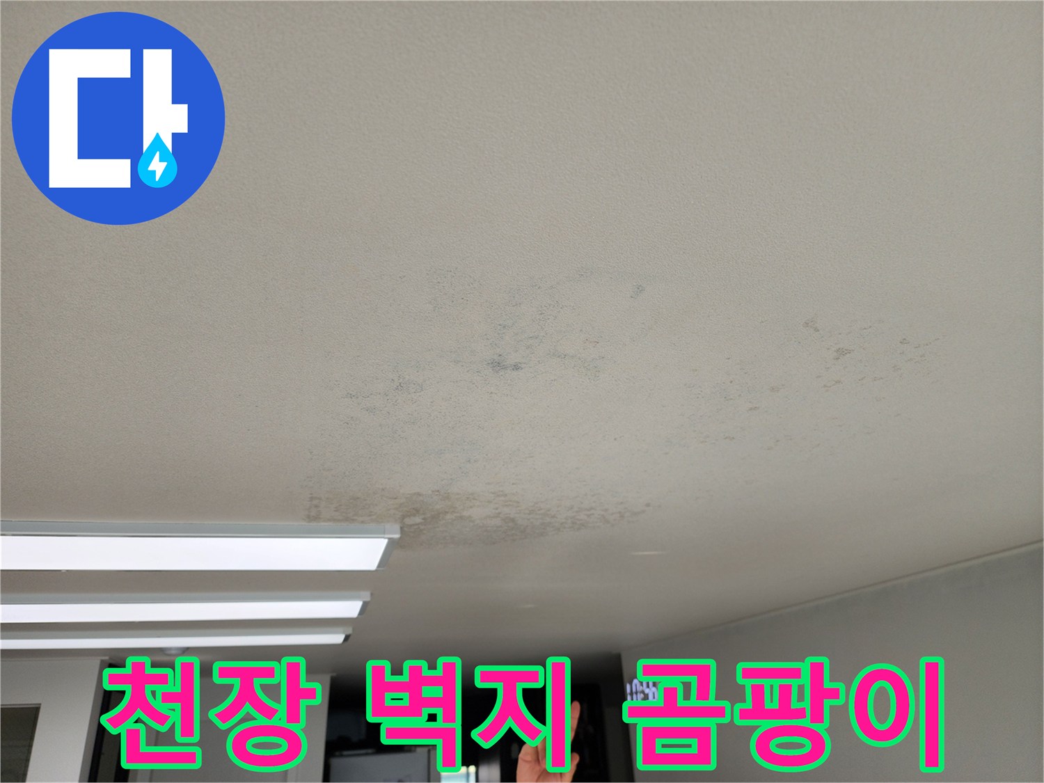 누수로 인해 오염된 영중면 현장의 천장 모습