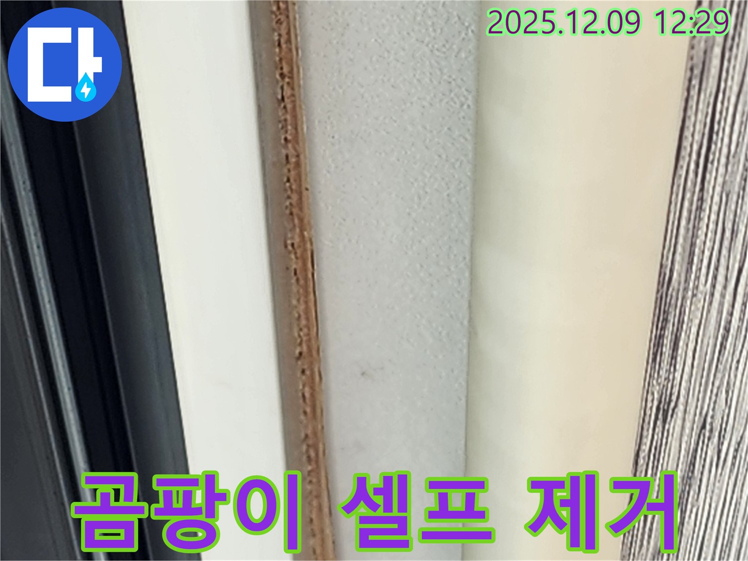 문 안쪽 곰팡이 - 셀프 제거 가능할까요?