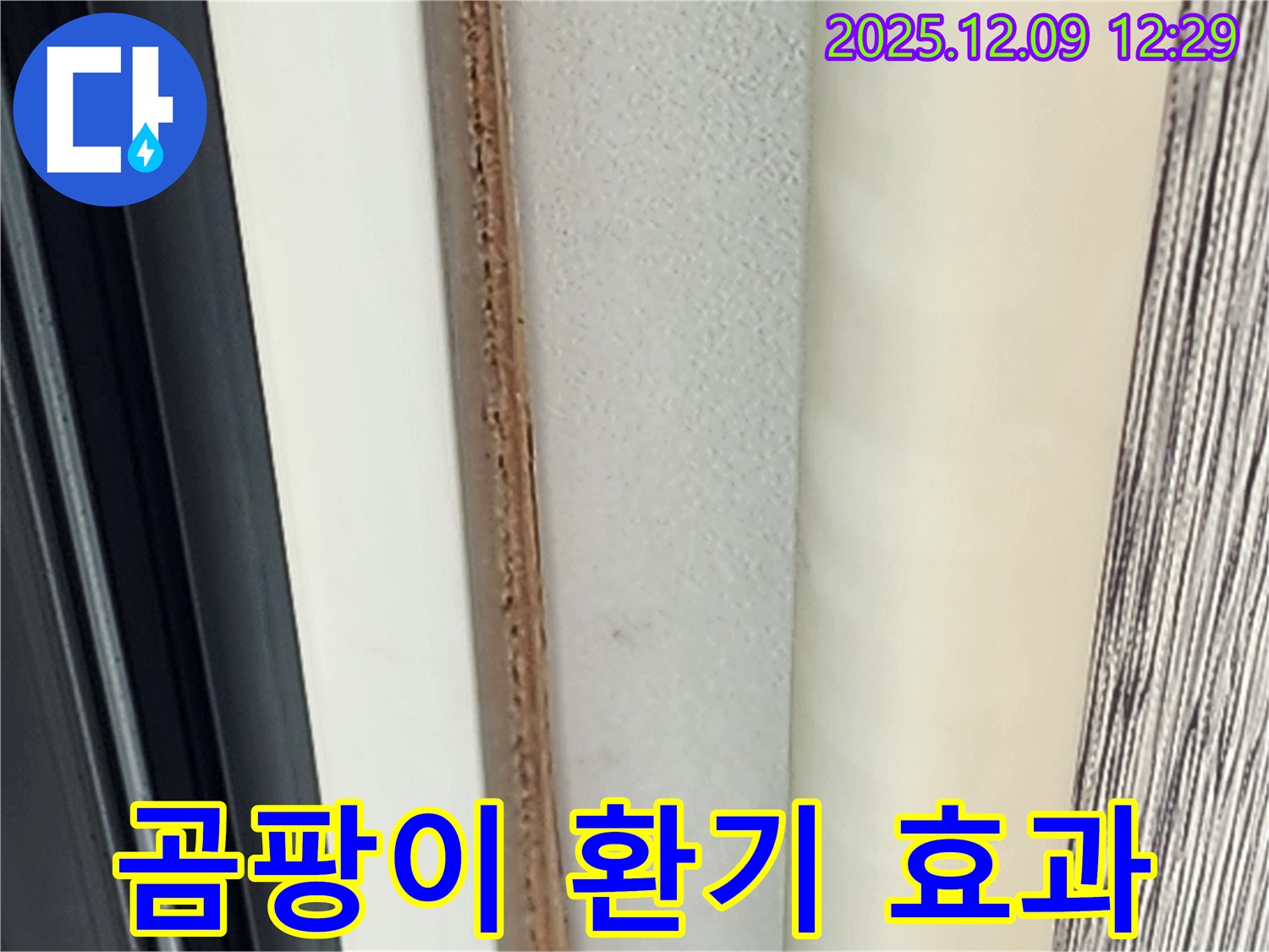 문 안쪽 곰팡이 - 환기만으로 해결될까요?