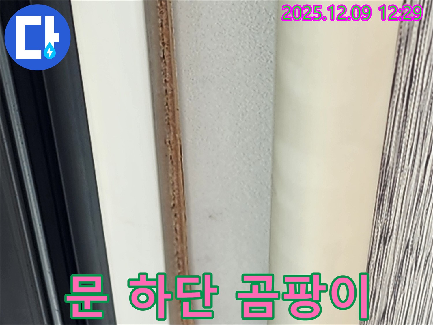 문 하단 곰팡이 - 장마철 습기, 어떻게 막을까요?