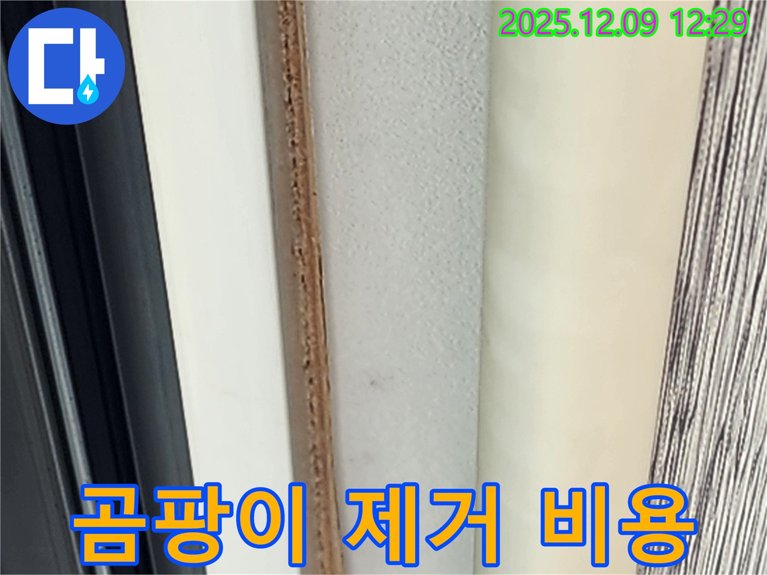 문틀 곰팡이 - 곰팡이 제거 비용, 얼마나 나올까요?