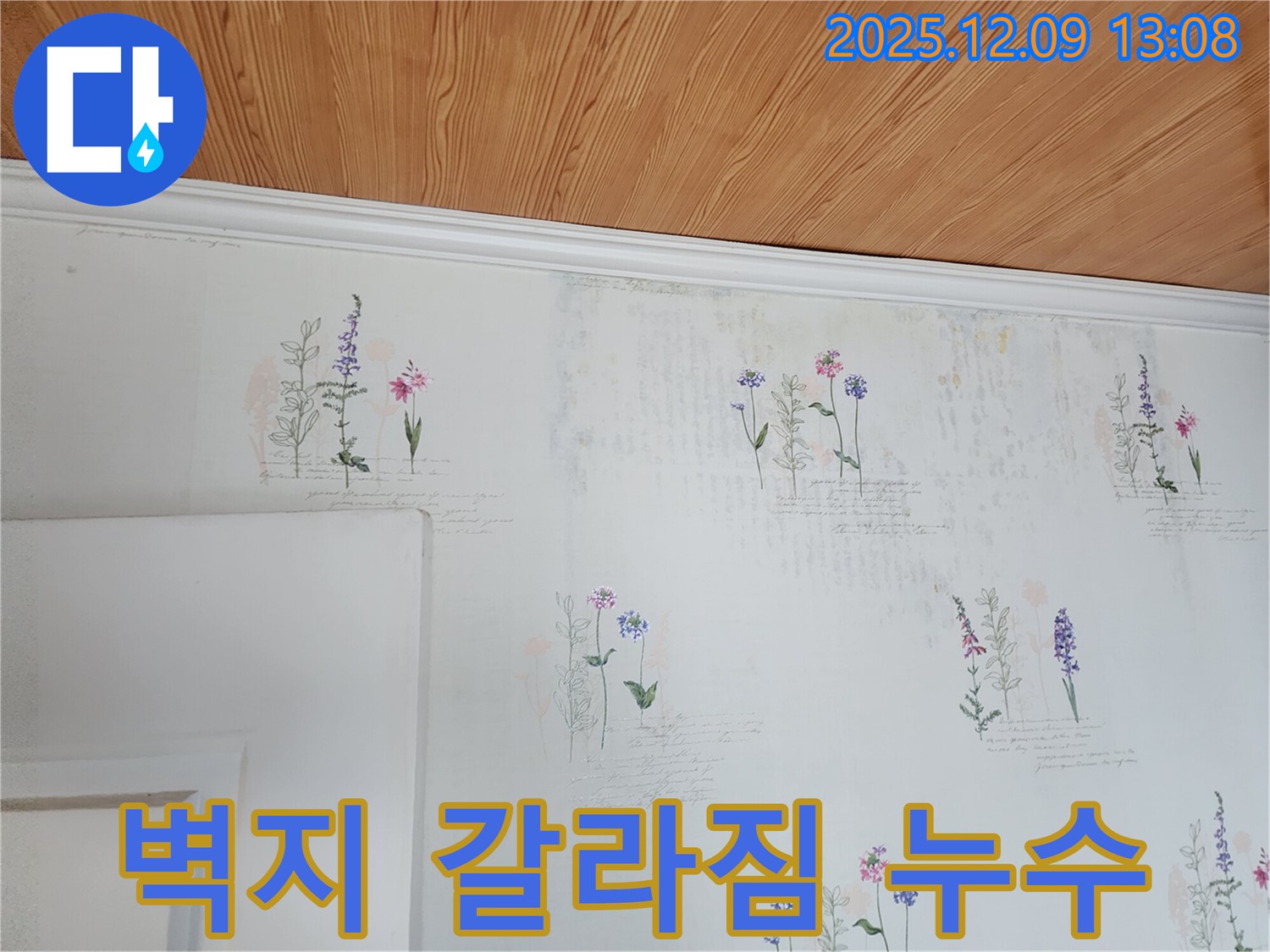 벽지 갈라짐 - 누수 가능성 - 정밀 점검