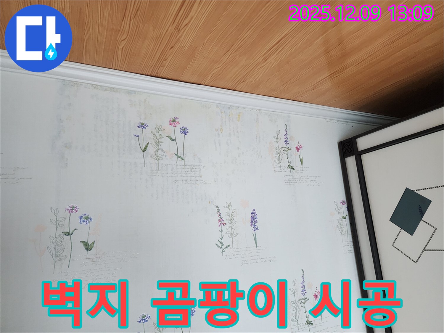 벽지 곰팡이 - 꼼꼼한 시공으로 재발까지 방지하는 누수 탐지 서비스.