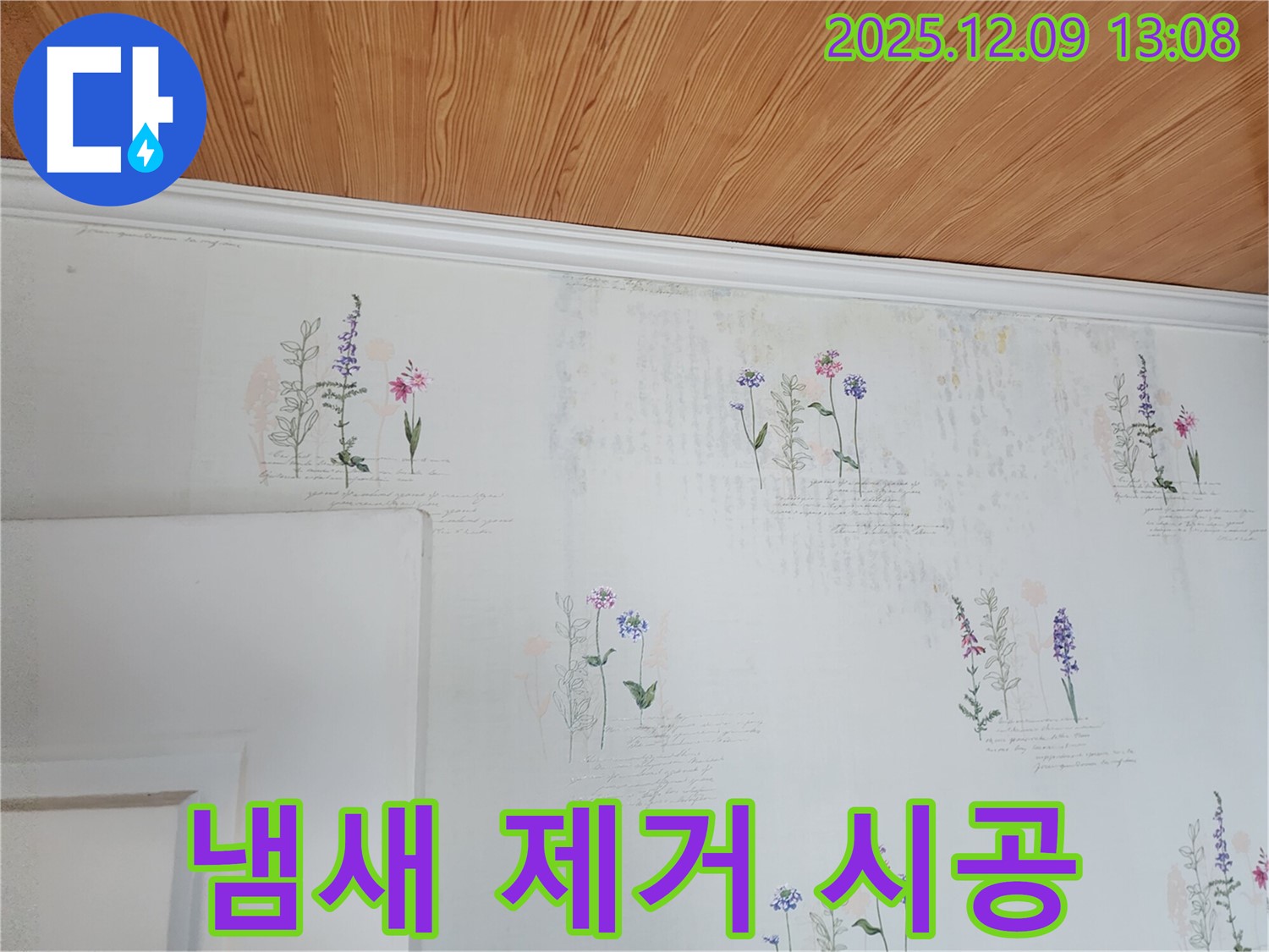 벽지 곰팡이 냄새 완벽 제거 - 예방 시공