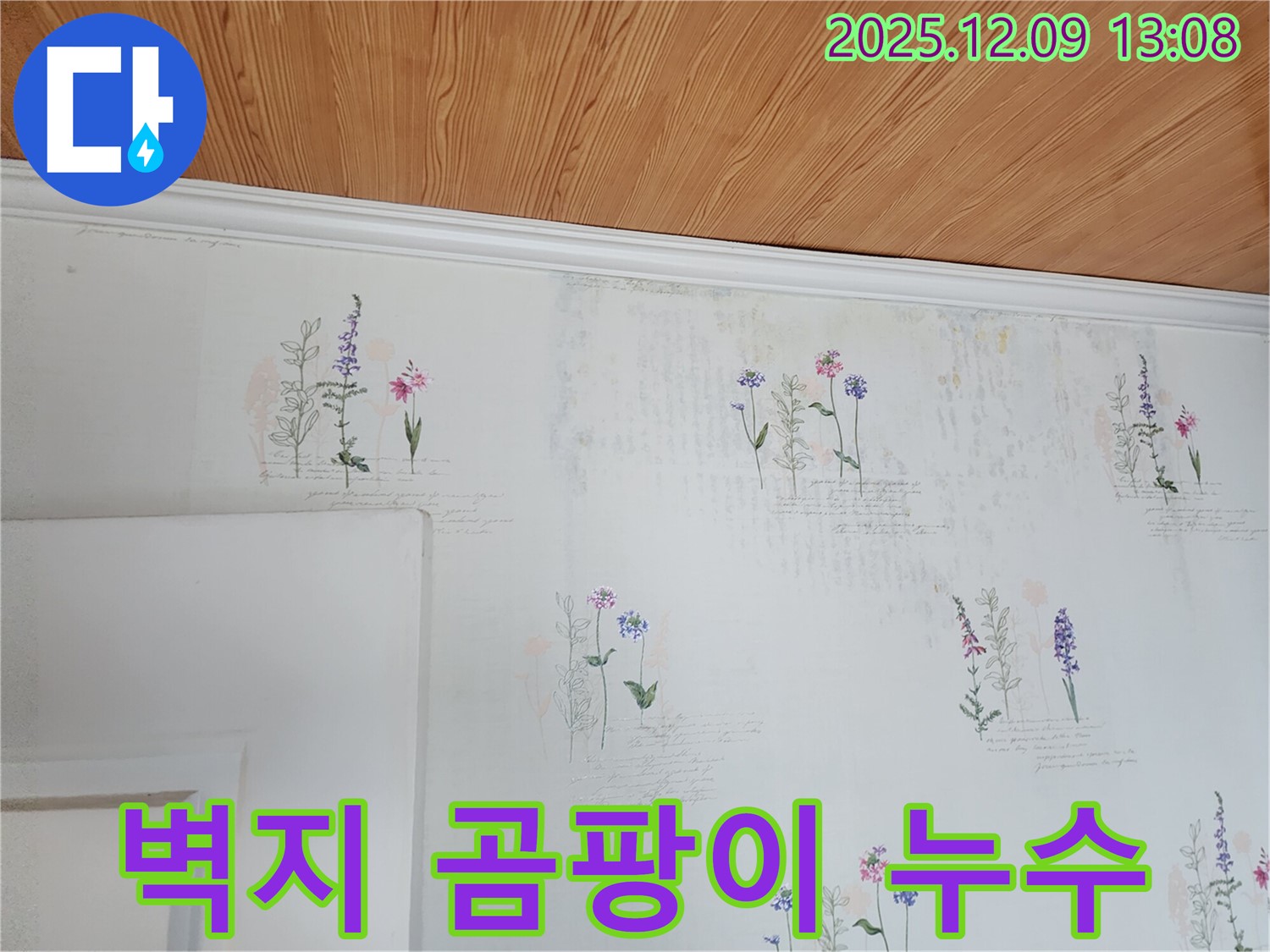 벽지 곰팡이 - 누수 흔적 - 천장 누수 의심 부위