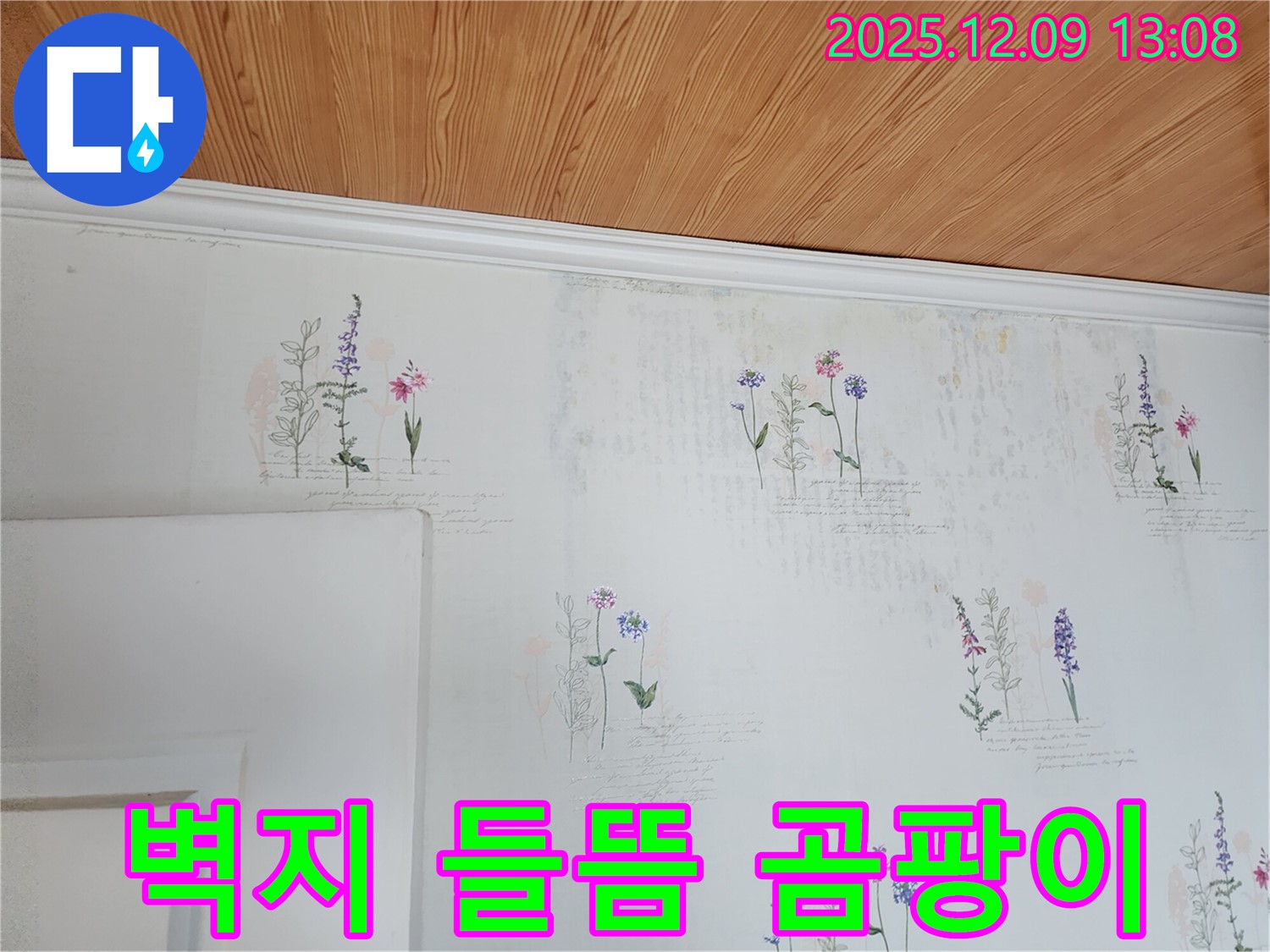 벽지 들뜸 - 곰팡이 문제 - 완벽 해결