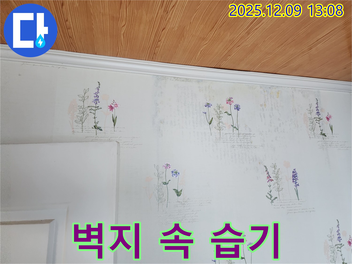 벽지 속 습기 - 곰팡이 발생 전 - 조치