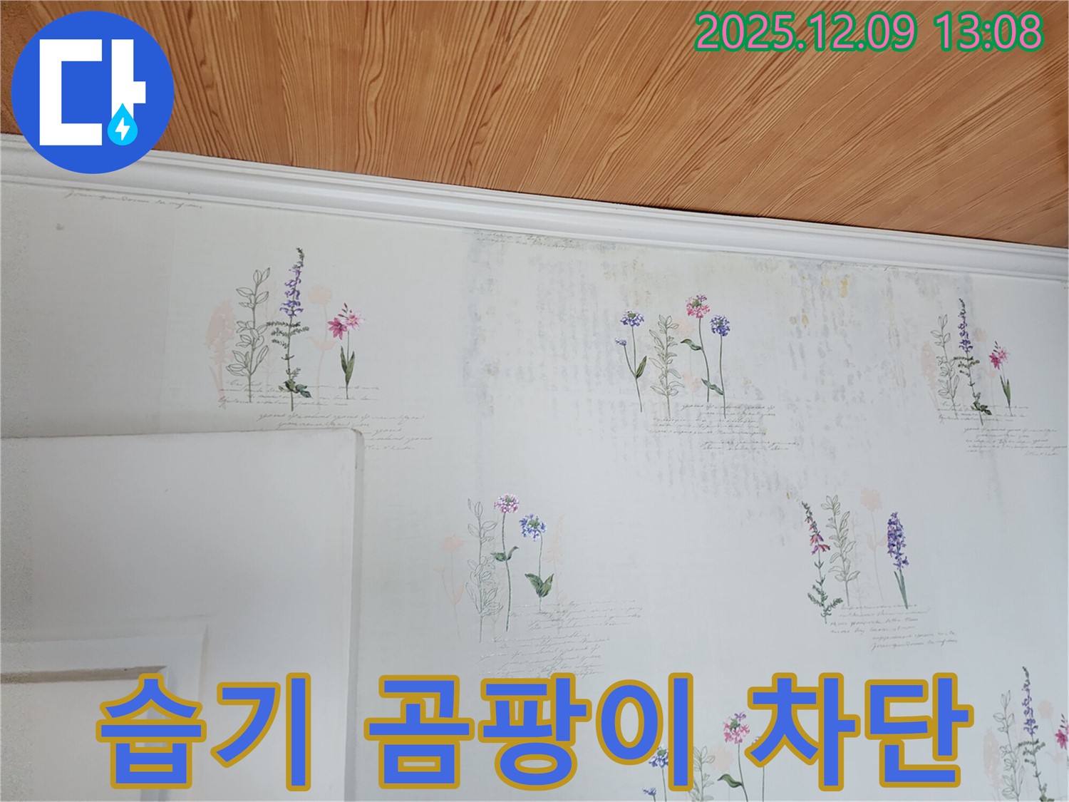 벽지 습기 - 곰팡이 발생 - 환경 차단