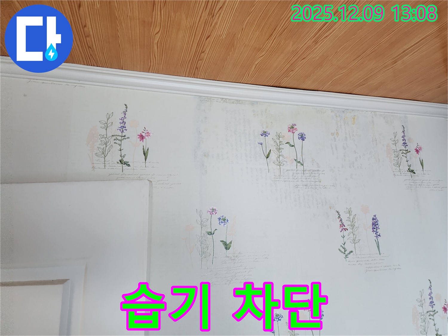 벽지 습기 - 완벽 제거 - 곰팡이 완벽 차단