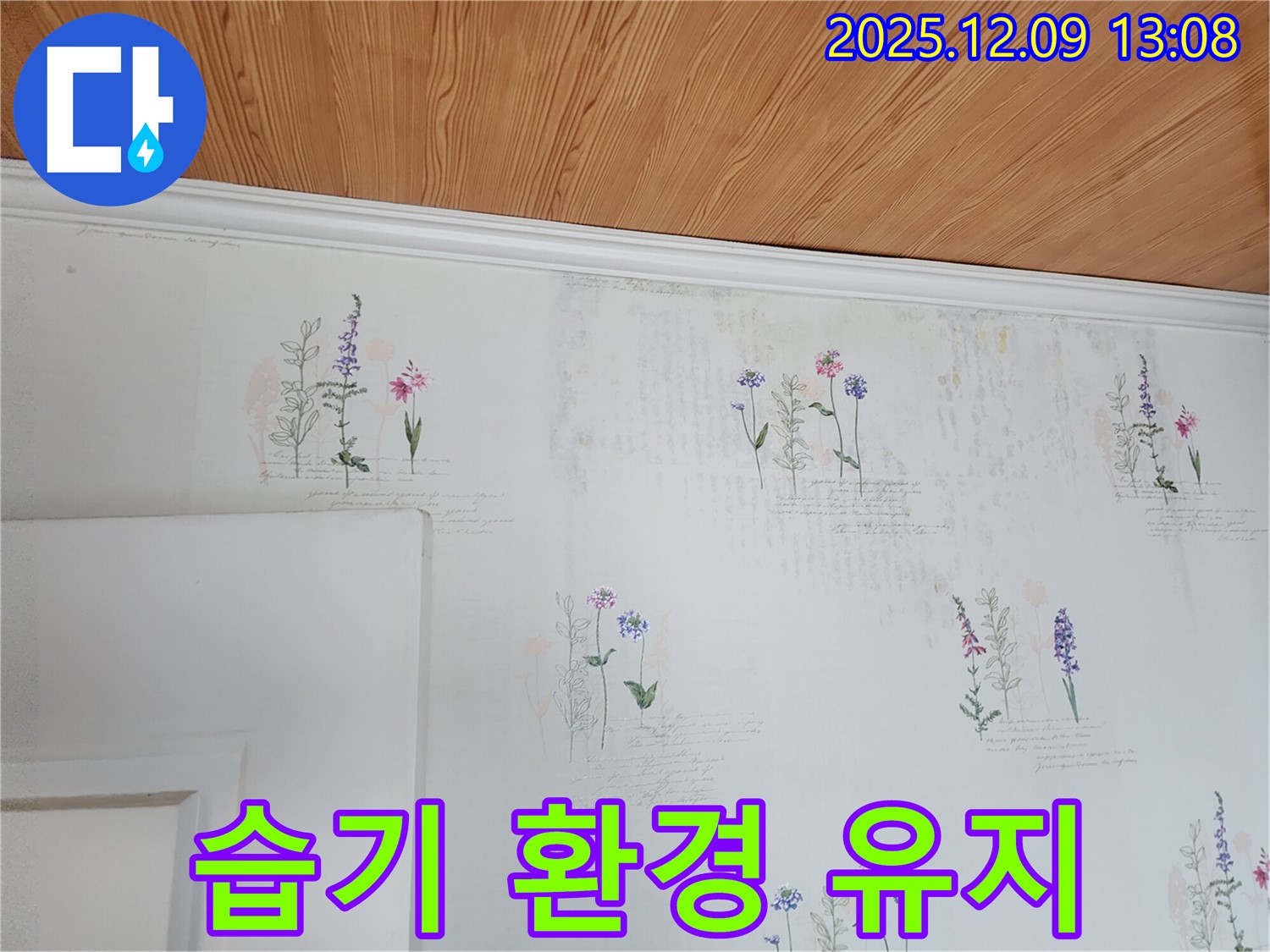 벽지 습기 제거 - 쾌적한 실내 환경 - 유지