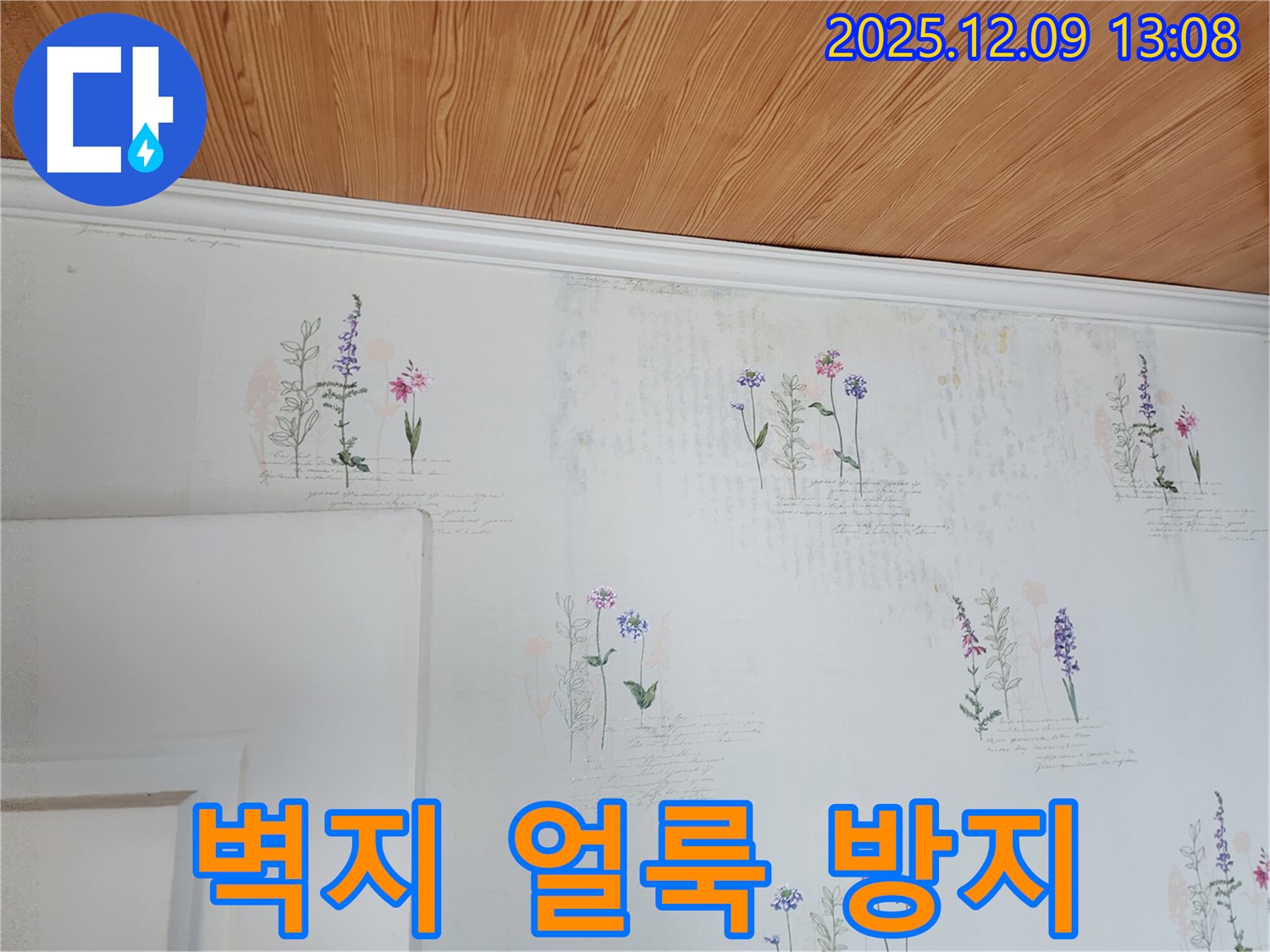 벽지 얼룩 제거 - 재발 방지 - 전문 시공