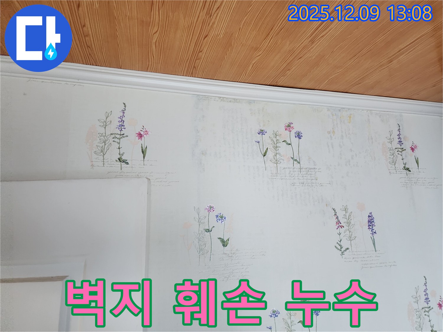 벽지 훼손 - 누수 의심 - 전문가 진단