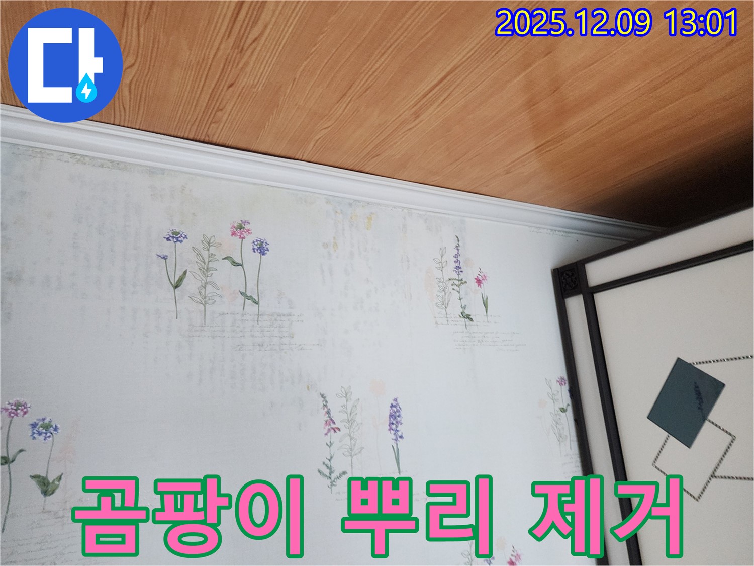 성동리 누수 현장 - 곰팡이 뿌리째 뽑아 완전 제거
