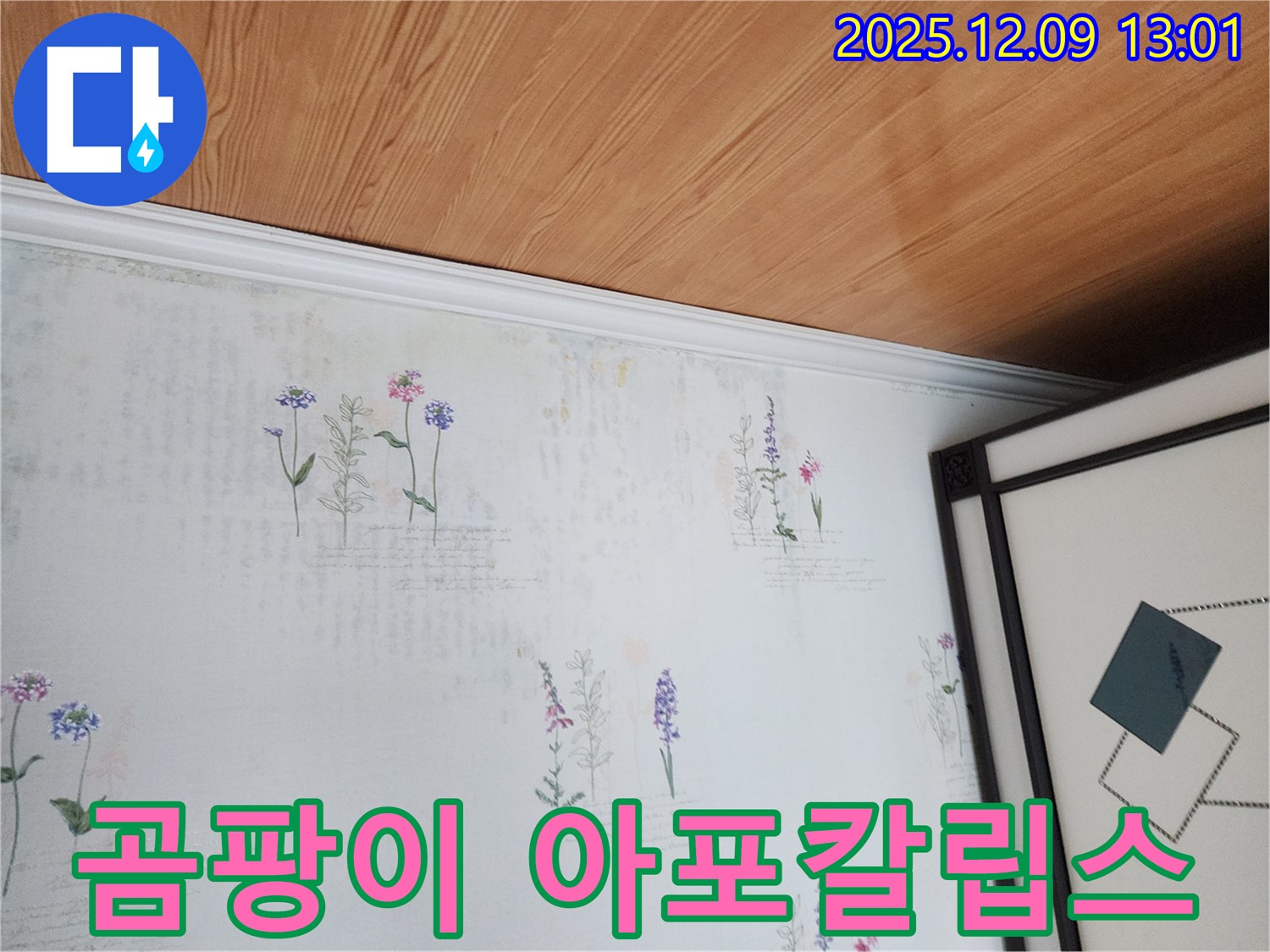 성동리 누수 현장 - 곰팡이 아포칼립스 막고 구원투수 등판
