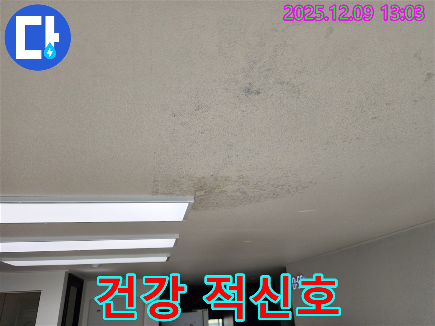 성동리 - 천장 누수 곰팡이 건강 적신호 - 빠른 상담 필수
