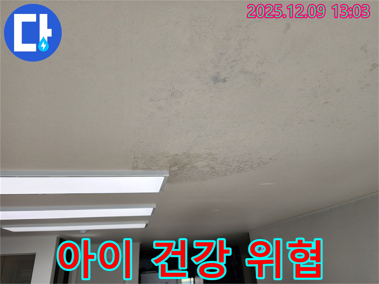 성동리 - 천장 누수 곰팡이 아이 건강에 치명적 - 긴급 조치