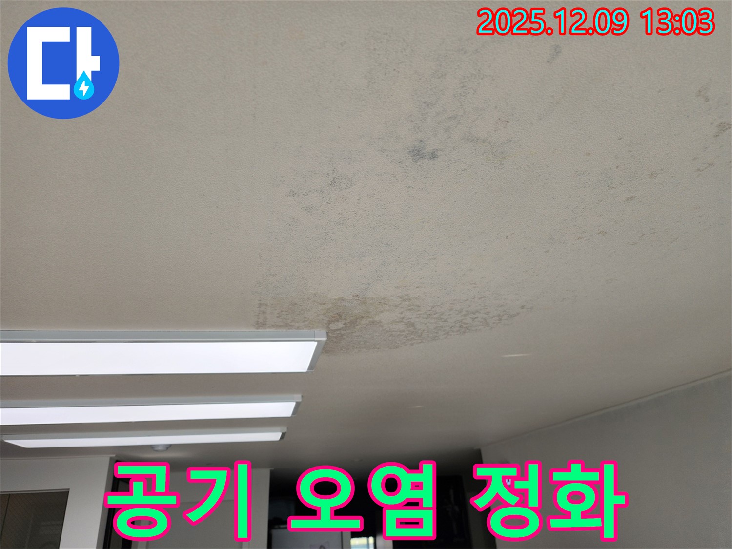 성동리 - 천장 누수 곰팡이 집안 공기 오염 - 깨끗하게 정화