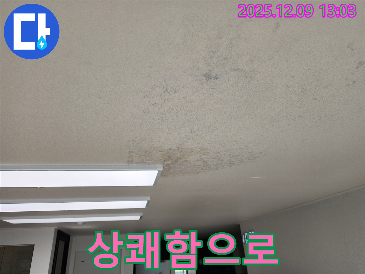 성동리 - 천장 누수 곰팡이 퀴퀴한 냄새 - 상쾌함으로