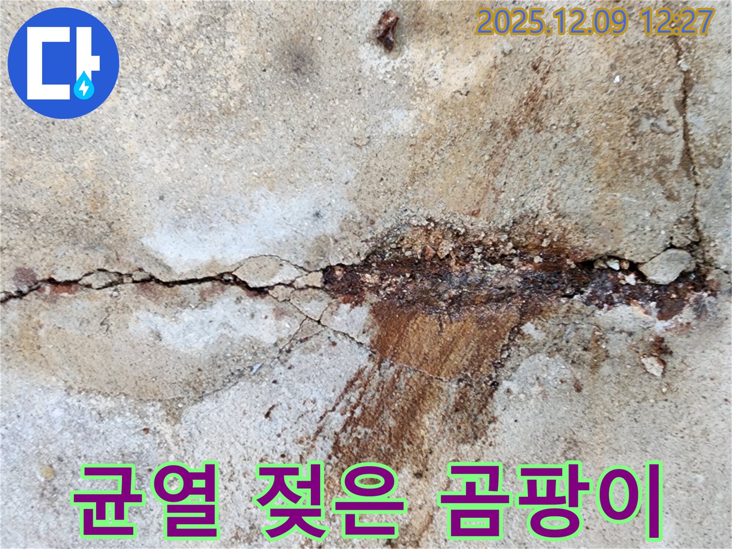 성동리 콘크리트 균열 - 젖은 흔적과 곰팡이 냄새까지 있다면 긴급 상황입니다!