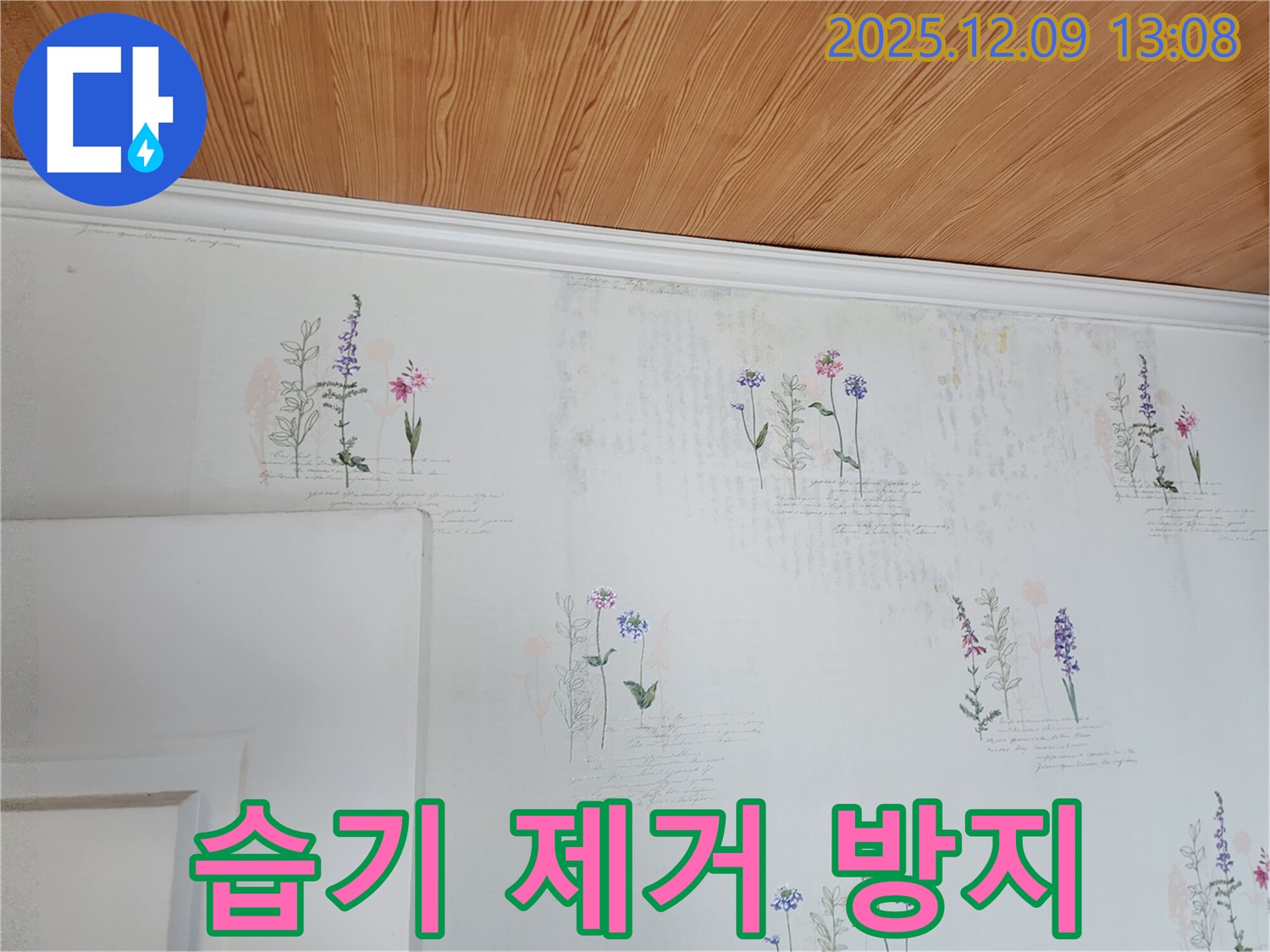 습기 제거 - 곰팡이 방지 - 꼼꼼 시공