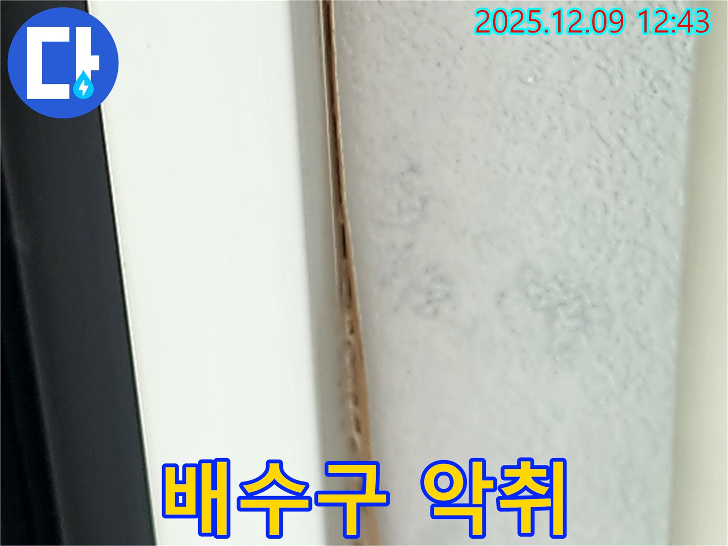 싱크대 배수구 악취 - 누수와 관련 있을 수 있습니다.