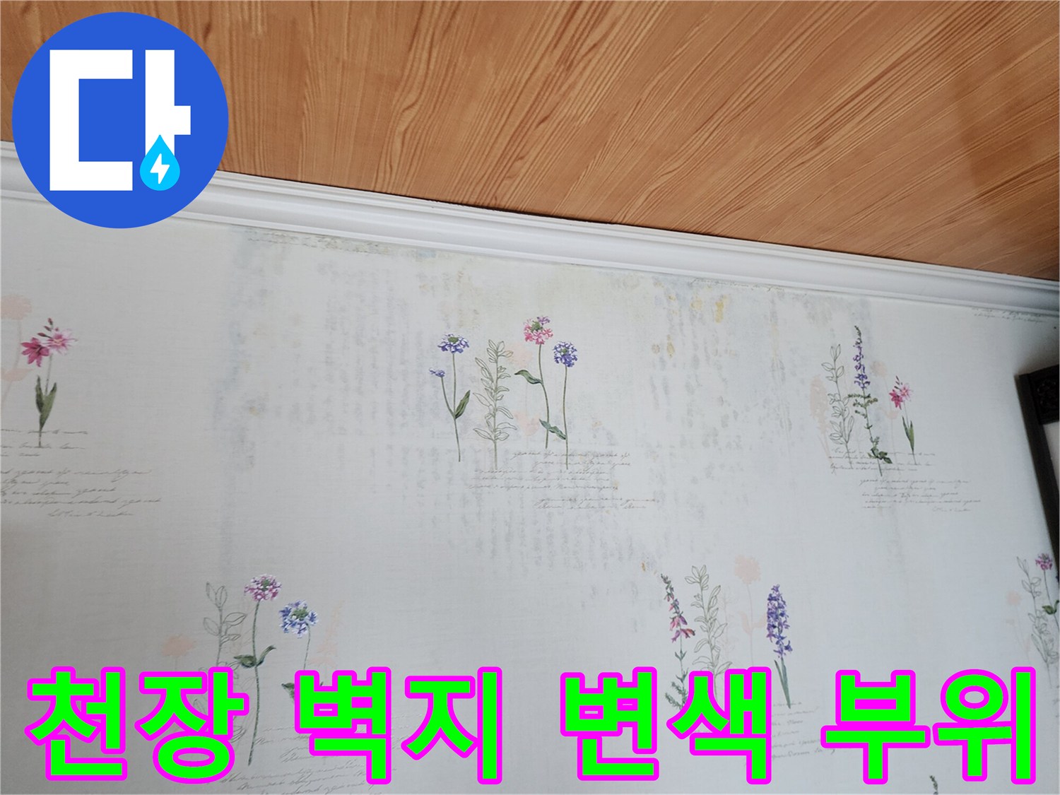 영중면 거실 천장 몰딩 주변 얼룩 상태