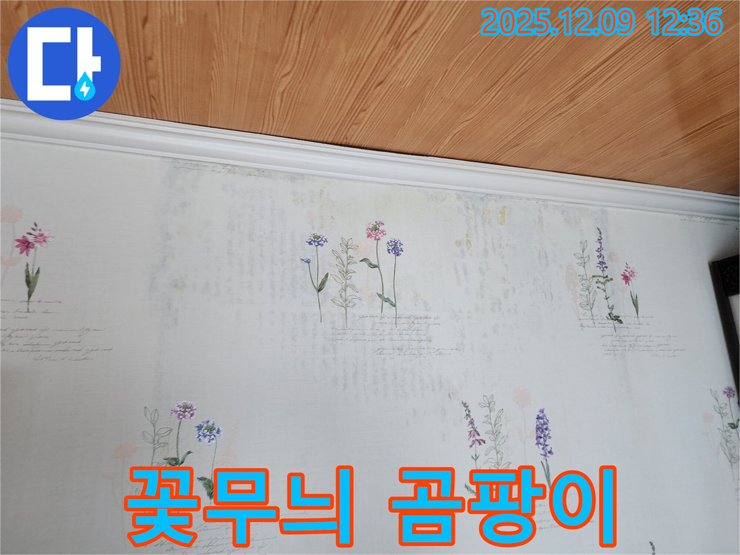 영중면 성동리 누수 문제 - 꽃무늬 벽지 속에 숨겨진 곰팡이, 건강 적신호를 해결하는 누수 공사