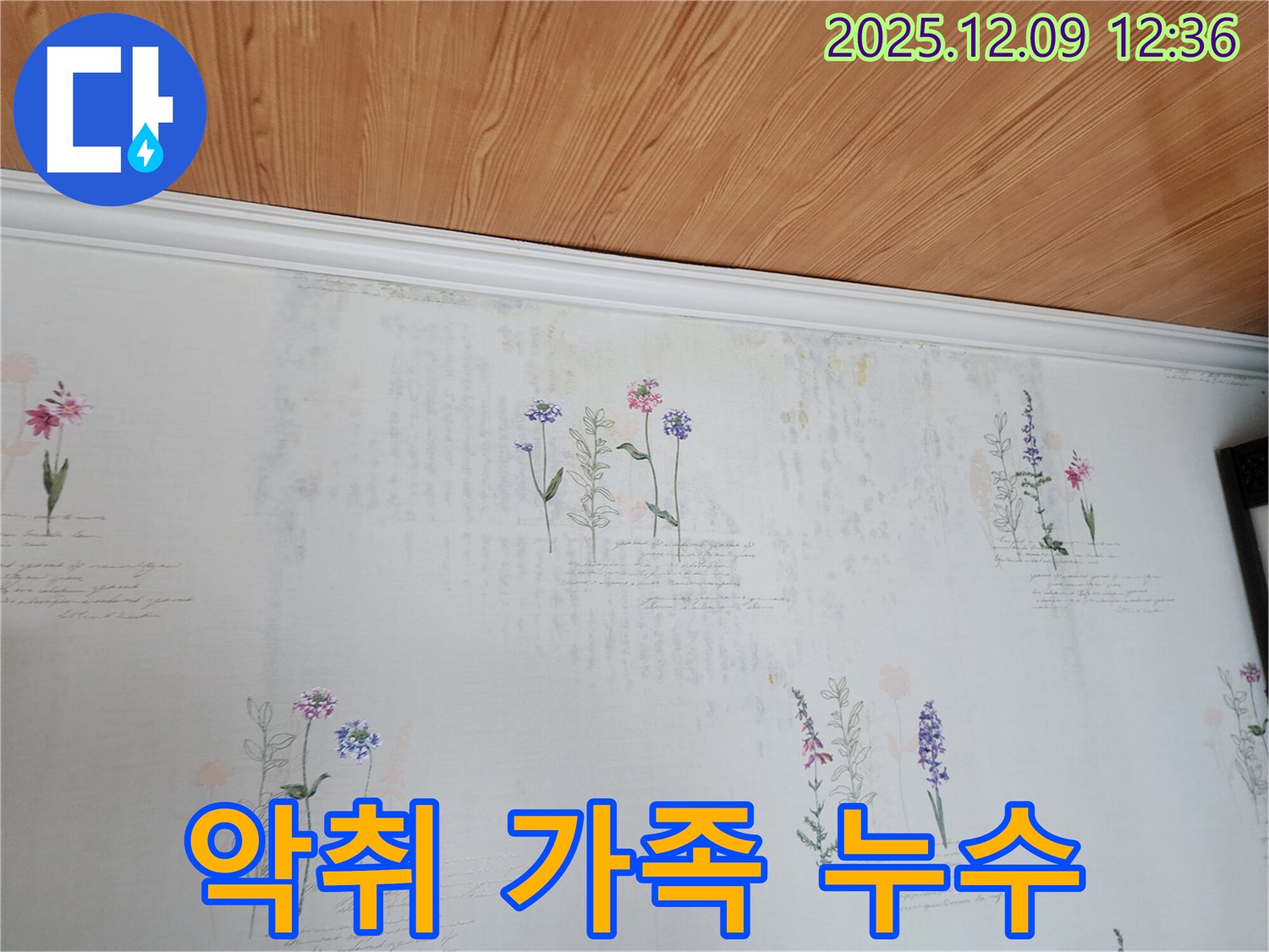 영중면 성동리 누수 문제 해결 - 곰팡이 악취 벽지로 인한 가족 건강 위협 문제 해결 누수 공사