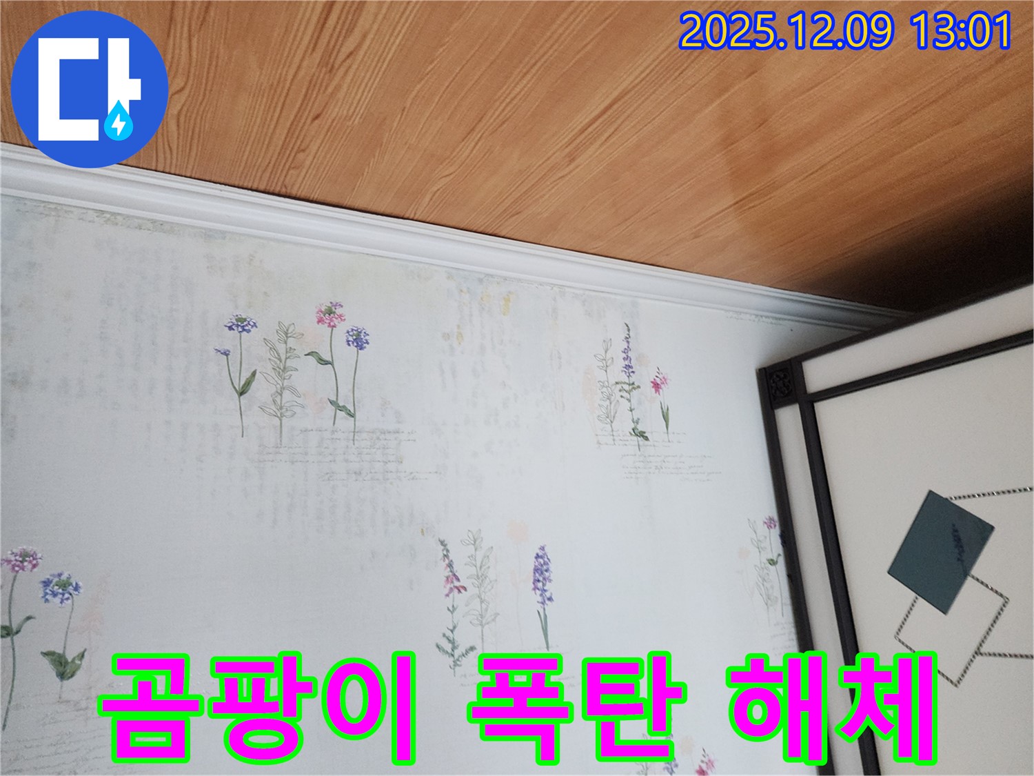 영중면 성동리 누수 현장 - 곰팡이 폭탄 터지기 직전 긴급 해체