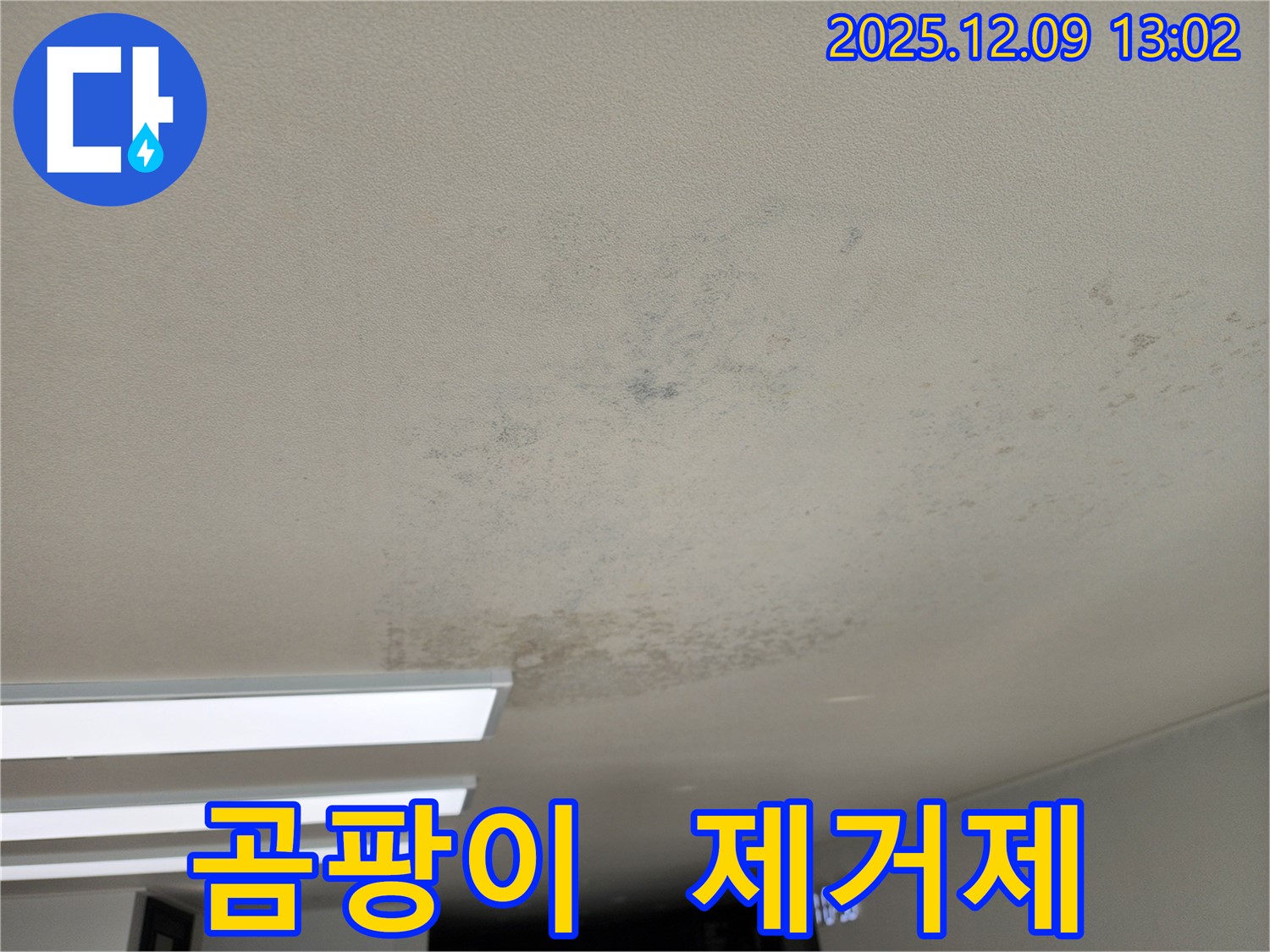 영중면 성동리 천장 누수 - 벽지 곰팡이 제거제, 효과가 있을까요? 누수 해결이 우선입니다.