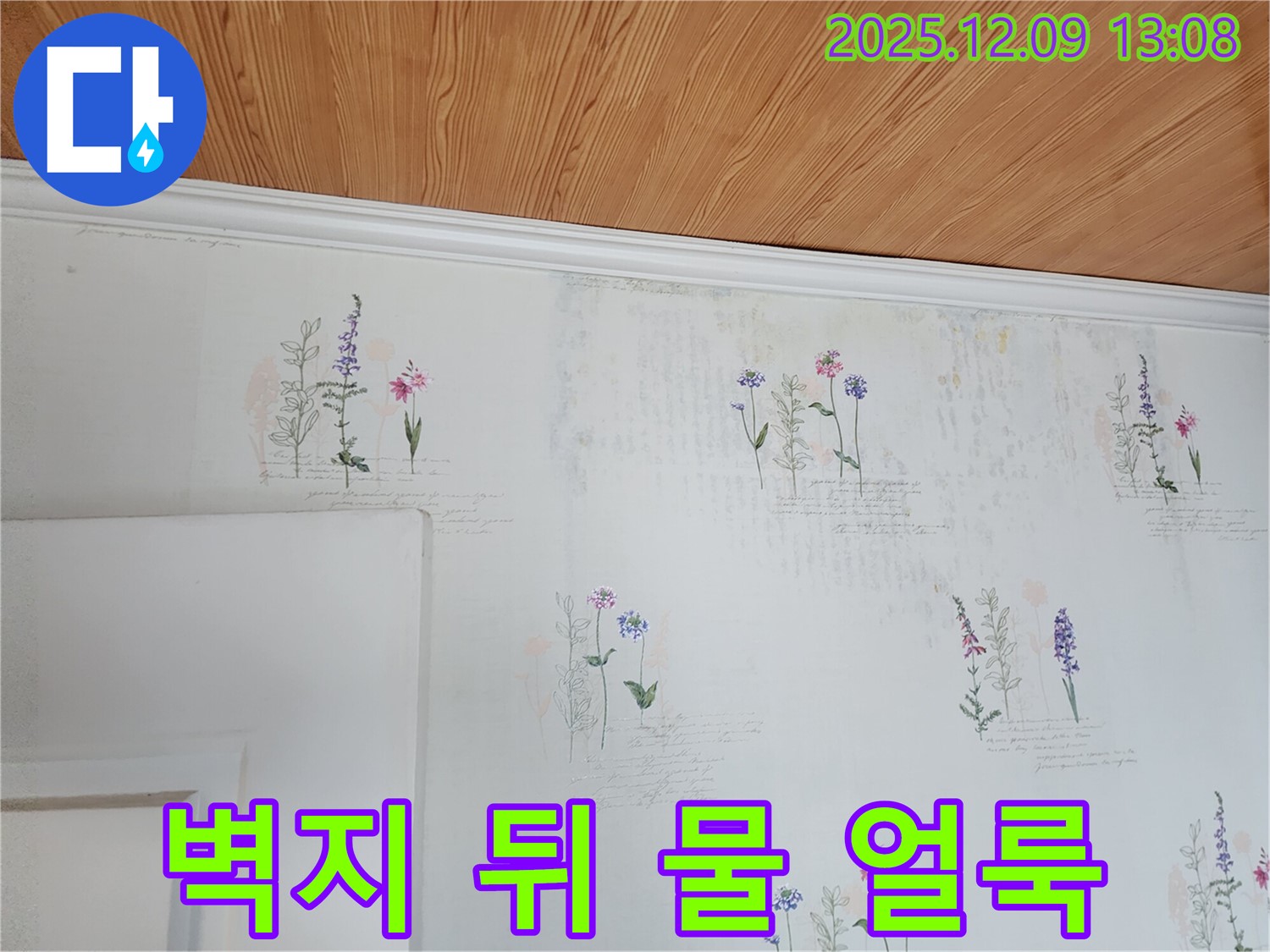 오래된 벽지 - 숨겨진 물 얼룩 - 누수 흔적