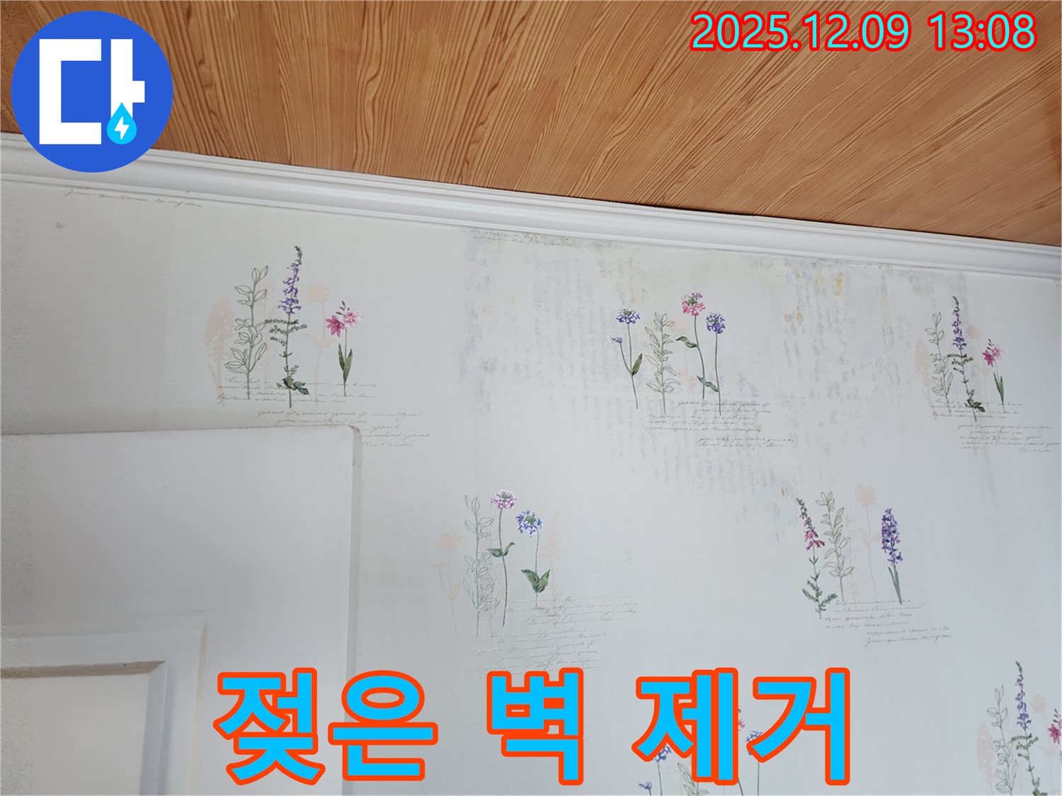젖은 벽 - 완벽 건조 - 곰팡이 완벽 제거