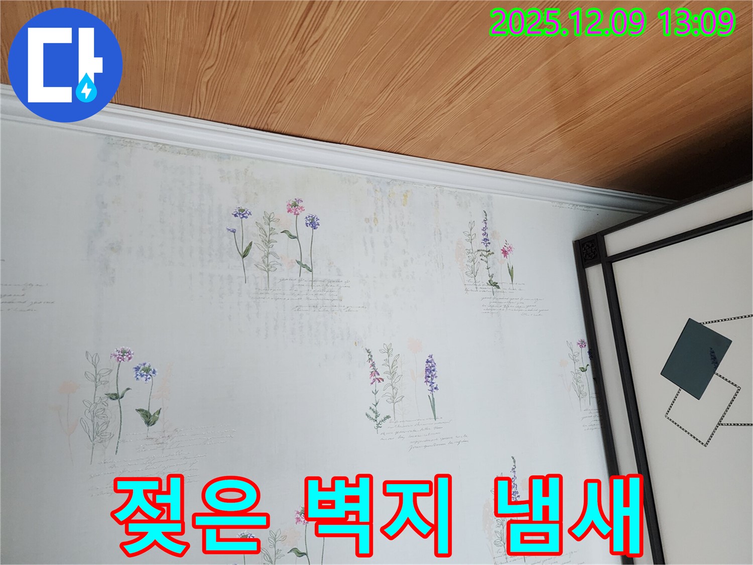 젖은 벽지와 곰팡이 냄새 - 누수 가능성을 의심하고 긴급 점검을 받으세요.