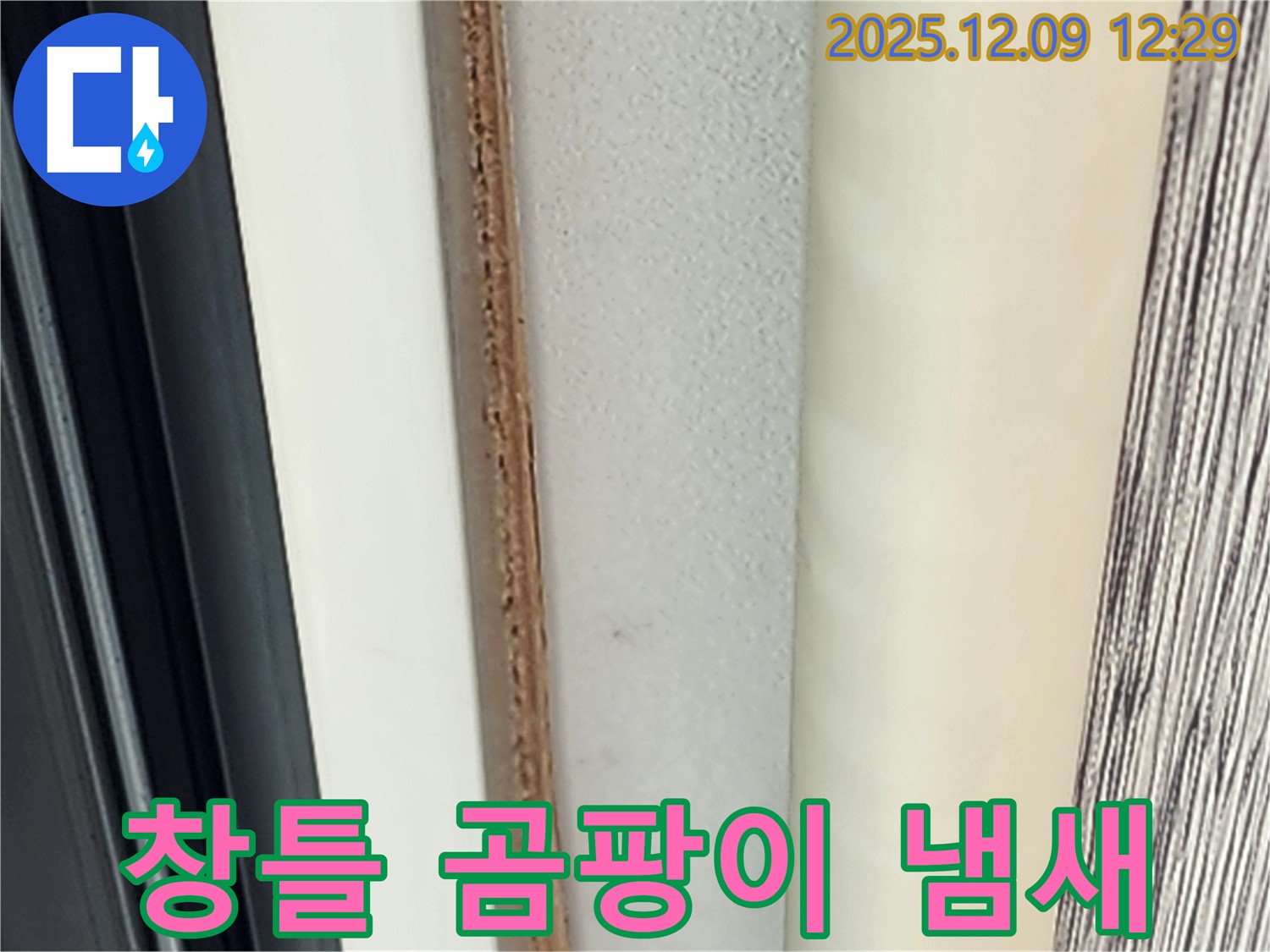 창틀 곰팡이 - 냄새 때문에 고민이신가요?