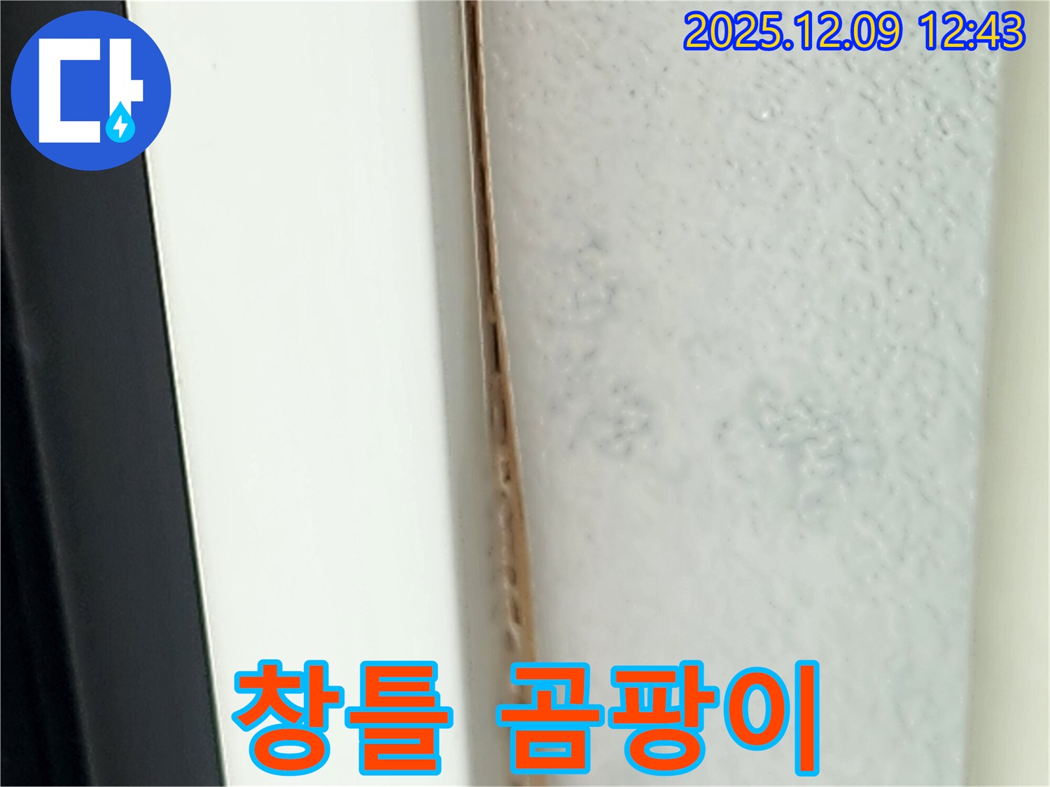 창틀 곰팡이 - 실리콘 재시공으로 해결해야 합니다.