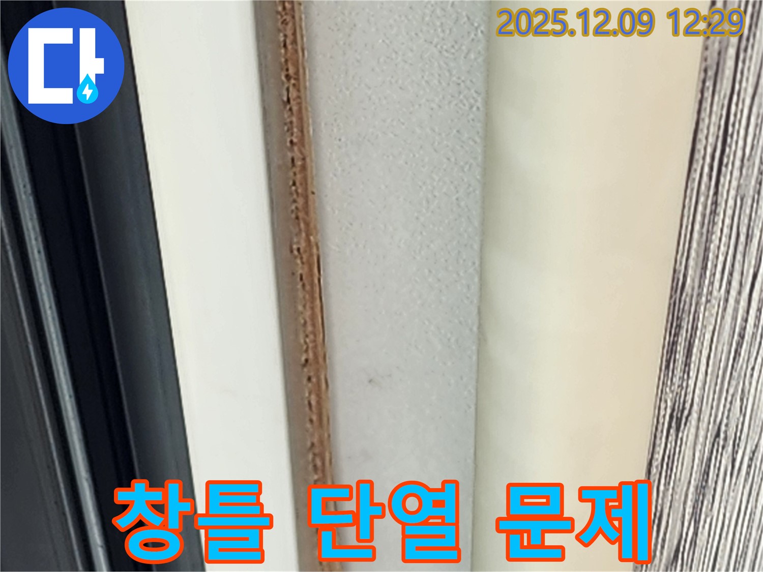 창틀 주변 곰팡이 - 단열 문제로 발생할 수 있습니다.