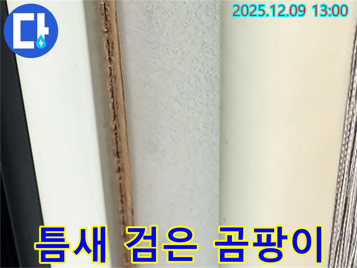 창틀 틈새 검은 곰팡이 - 심각한 오염 상태입니다.