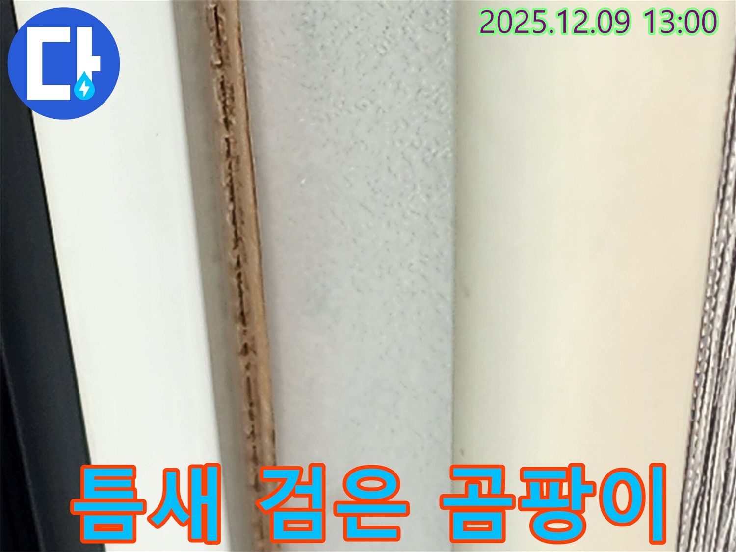 창틀 틈새 검은 곰팡이 - 심각한 오염 상태입니다.