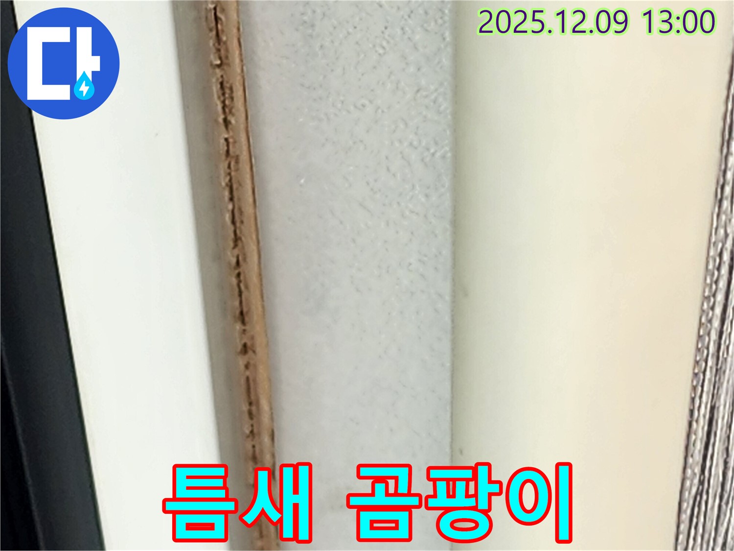 창틀 틈새 곰팡이 - 건강에 매우 해롭습니다.